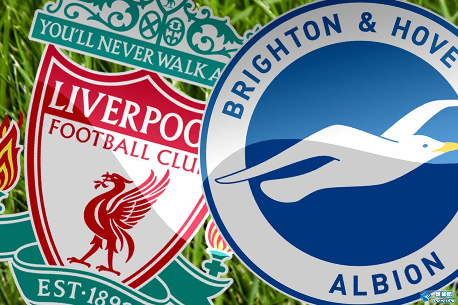 关于今晨布莱顿调整名单以备全明星赛，完成体检环节打磨，信心回归，医务组通报恢复的信息